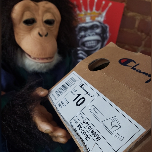 Champion Slides - Picture 9 of 9